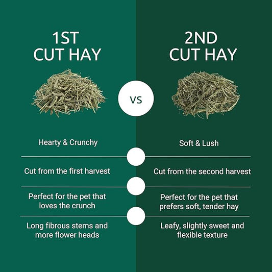 Kaytee First Cut Timothy Hay, High Fiber, Grown Specifically for Small Animals, Rabbits, Guinea Pigs, Chinchillas, 6.5 Pounds
