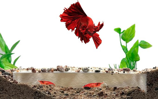 Shrimp Breeding Protector | Shrimp Breeding Cave Aquarium Tunnel | CTWPets (White)