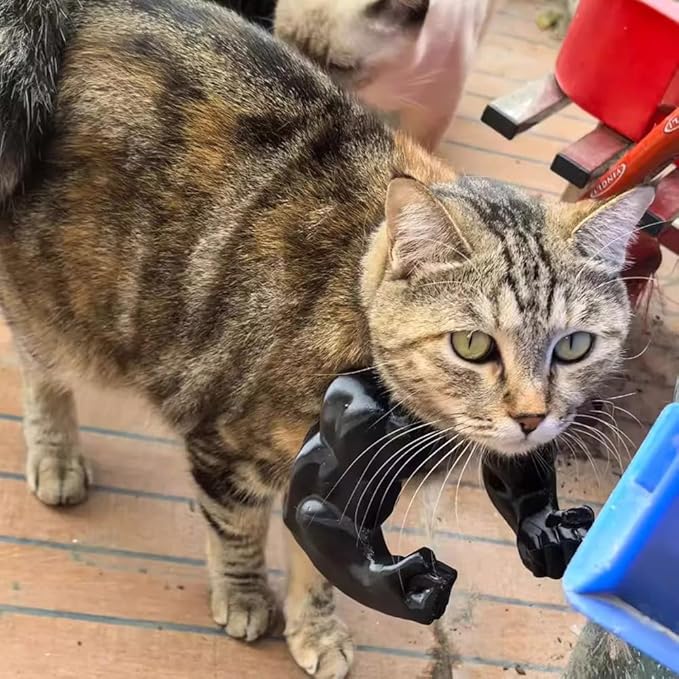3D Printed Funny Cat Muscle Arms-Halloween Cosplay Pet Costume for Cats & Small Pets (Black)