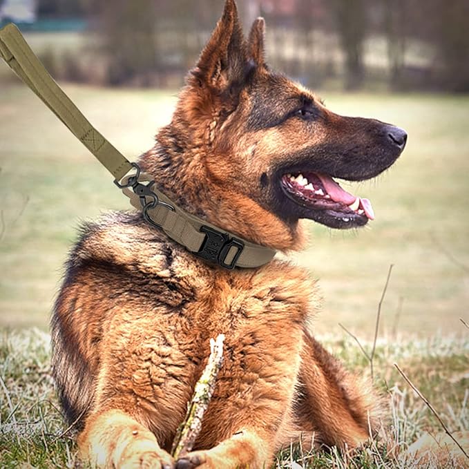 Tactical Dog Collar and Leash Set Heavy Duty Military Dog Collar with Handle and Metal Buckle for Medium and Large Dogs (Brown, M)