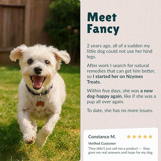 Nzymes® Antioxidant Tiny Treats - for Dogs Joints, HIPS, Paralysis, Skin, Coat, Hair Loss, Aging, Digestion, Seizures - Dog Treats for Small Dogs - 270 Treats - Made in The USA
