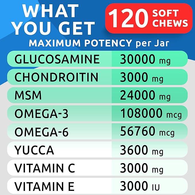 Glucosamine Chondroitin Dog Hip & Joint Supplement - Joint Pain Relief - Hip & Joint Chews for Dogs - Joint Support Large Breed - Senior Doggie Vitamin Pills Joint Health - (240 Treats - Bacon)
