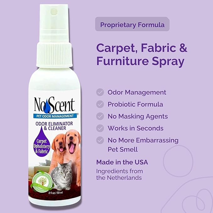 No Scent Carpet Upholstery & Fabric Furniture Spray Spot Cleaner for Wet Dog Smell, Cat Spray, Pet Odor, Urine, Poop & Secretions (32 Fl Oz / 946 mL)