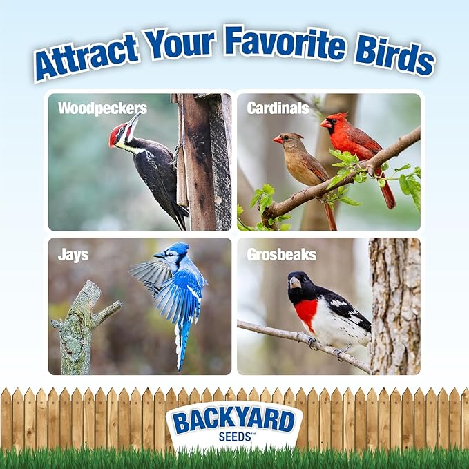 Backyard Seeds Woodpecker Shelled Peanuts Mixed Bird Seed with Sunflower Chips, Pumpkins, Raisins (40 Pounds)