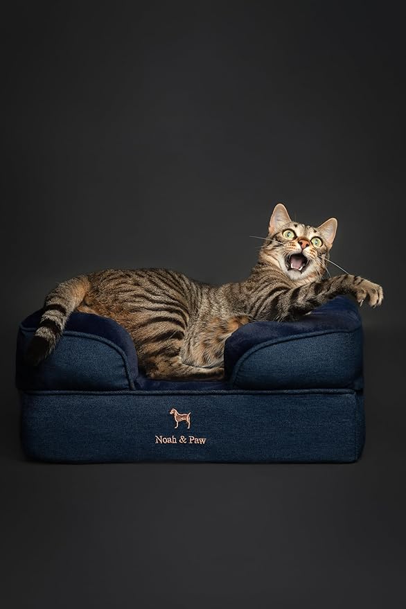 NOAH & PAW Small Dog Bed, 20x15x8 Inch, Cat Bed for Indoor Cats, Orthopedic Eggshell Memory Foam Infused with Cooling Gel, Waterproof Inner Cover Machine Washable (Denim Collection)