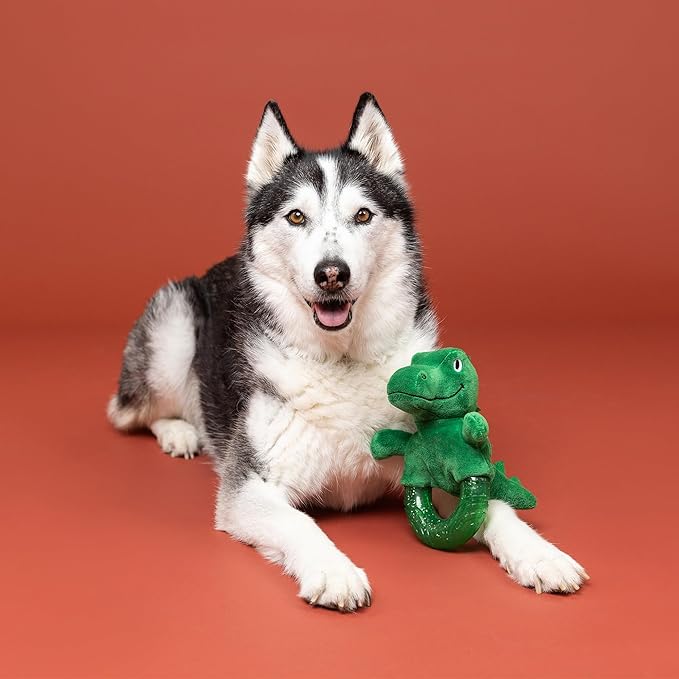 Fringe Studio Rubber Dog Toy, Unleash The Dino, Pet Shop Collection (519080)