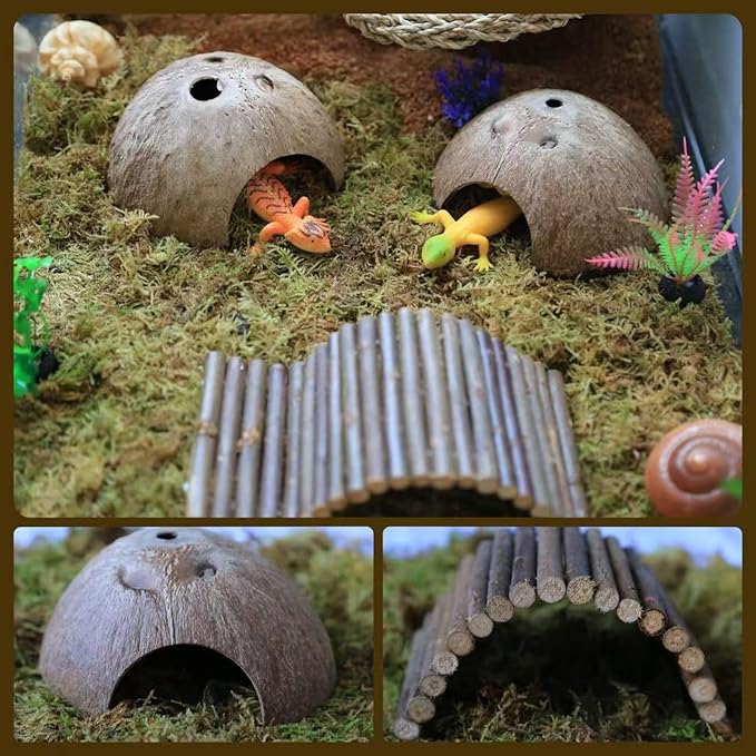 Hermit Crab Accessories, Hermit Crab Shells Natural Adjustable Climbing Toys Bendable Bridge, Plants for Reptiles & Amphibians Supplies (A-Group-4PCS)