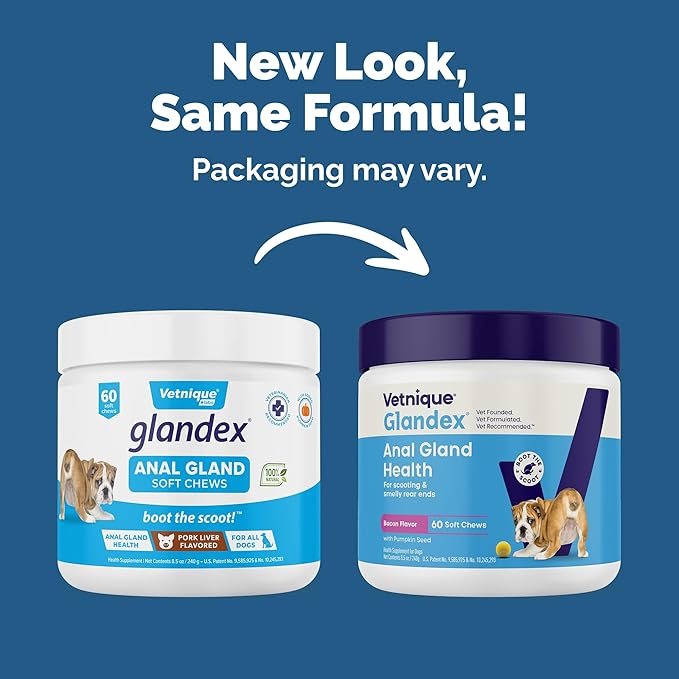 Vetnique Labs Glandex Anal Gland Soft Chew Treats with Pumpkin for Dogs Digestive Enzymes, Probiotics Fiber Supplement for Dogs Boot The Scoot (Bacon/Pork Chews, 60 Count)