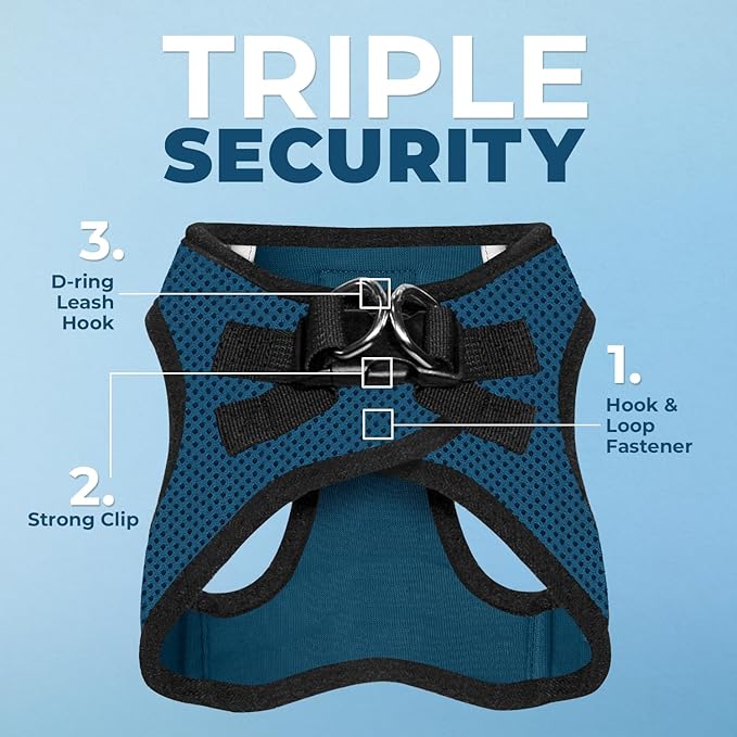 Voyager Step-in Air All Weather Mesh Harness and Reflective Dog 5 ft Leash Combo with Neoprene Handle, for Small, Medium and Large Breed Puppies by Best Pet Supplies - Blue/Black Trim, Small
