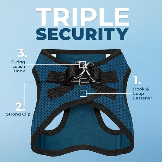 Voyager Step-in Air All Weather Mesh Harness and Reflective Dog 5 ft Leash Combo with Neoprene Handle, for Small, Medium and Large Breed Puppies by Best Pet Supplies - Blue/Black Trim, XX-Small