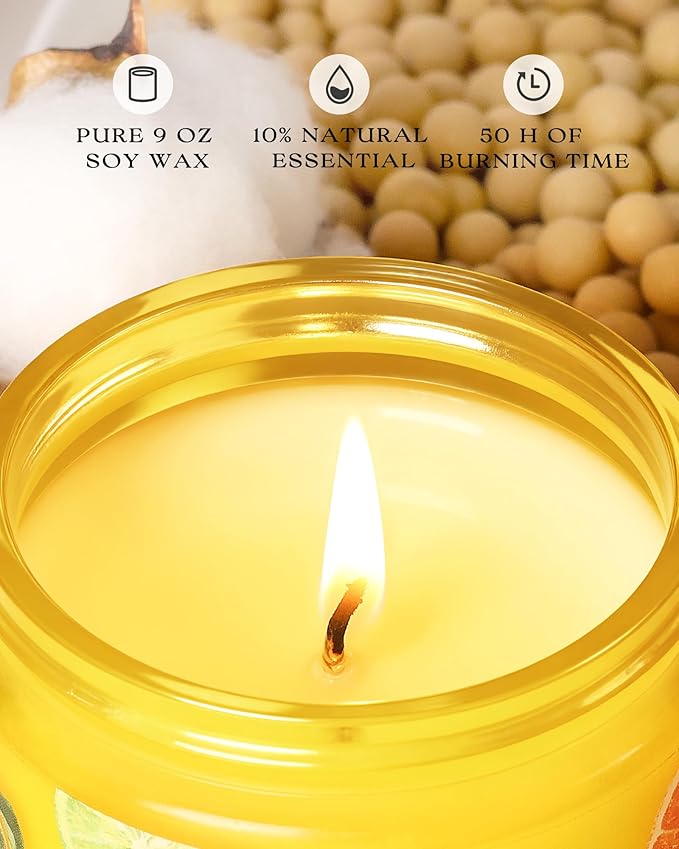 AOOVOO Pet Odor Eliminator Candle - 2 Pack Citrus Lemon Odor Eliminating Candle, Highly Fragranced Air Freshing Scented Candles, Natural Soy Wax, 18 oz