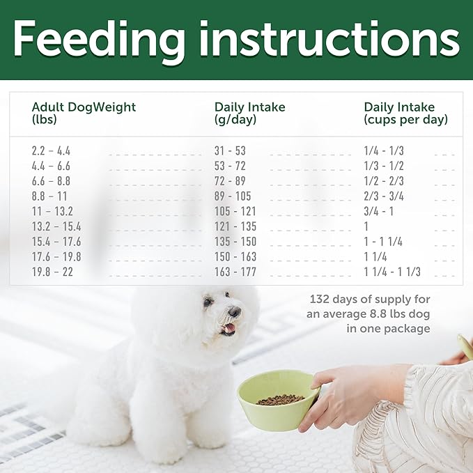 Nature's Protection Grain Free Dry Dog Food for Small Breed - High Protein, Tear Stain Diet for Adult Dogs with Light Fur, Small Bites Kibble (Superior Care - Lamb, 22 lb)