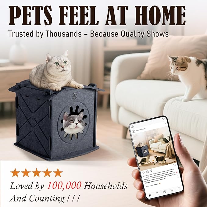 Apasiri Cat Houses for Indoor Cats Felt Cat House Cave Cathouse, 15x14x15Inch Scratch-Resistant Bed Warm Insulated Covered, Hideaway Tent for Anxiety Relief Gift, Grey