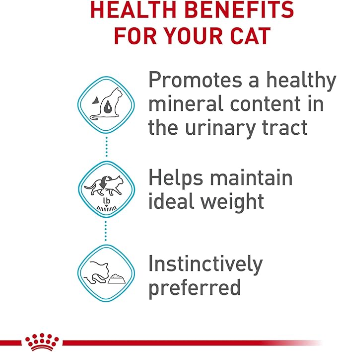 Royal Canin Feline Urinary Care Thin Slices in Gravy Wet Cat Food, 3 oz can (24-count)