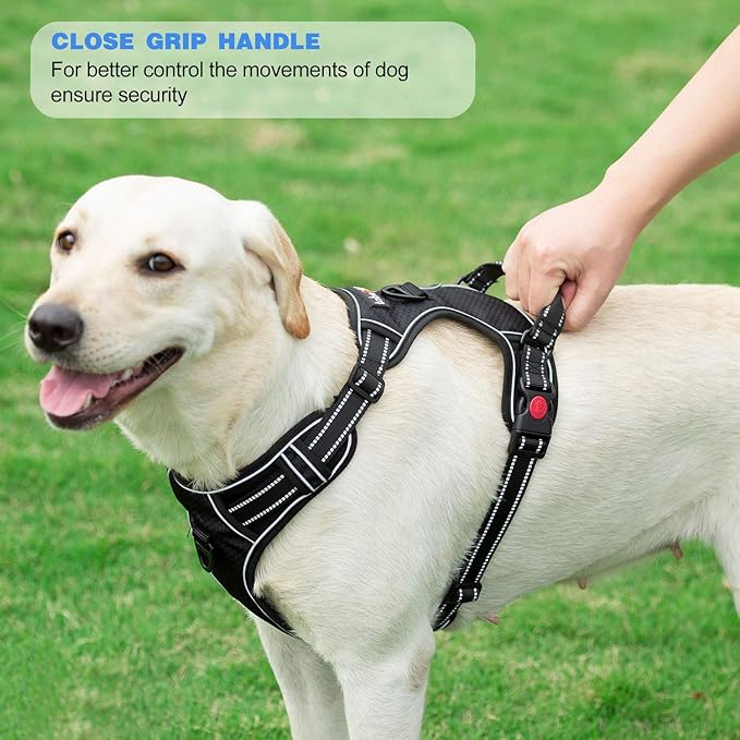 No Pull Dog Harness Adjustable Reflective Oxford Easy Control Medium Large Dog Harness with A Free Heavy Duty 5ft Dog Leash (S (Neck: 14"-17", Chest: 18.5"-20"), Orange Harness+Leash)