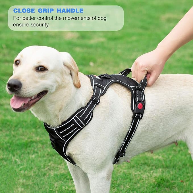 No Pull Dog Harness Adjustable Reflective Oxford Easy Control Medium Large Dog Harness with A Free Heavy Duty 5ft Dog Leash (S (Neck: 14"-17", Chest: 18.5"-20"), Black/Blue Harness+Leash)