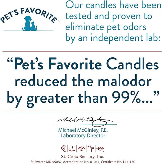 Pet's Favorite Pet Odor Candle, Clean Burning, Long Lasting Scented Candles with a Cotton Wick. (Pumpkin Spice and Forest Pine, Pack of 2)