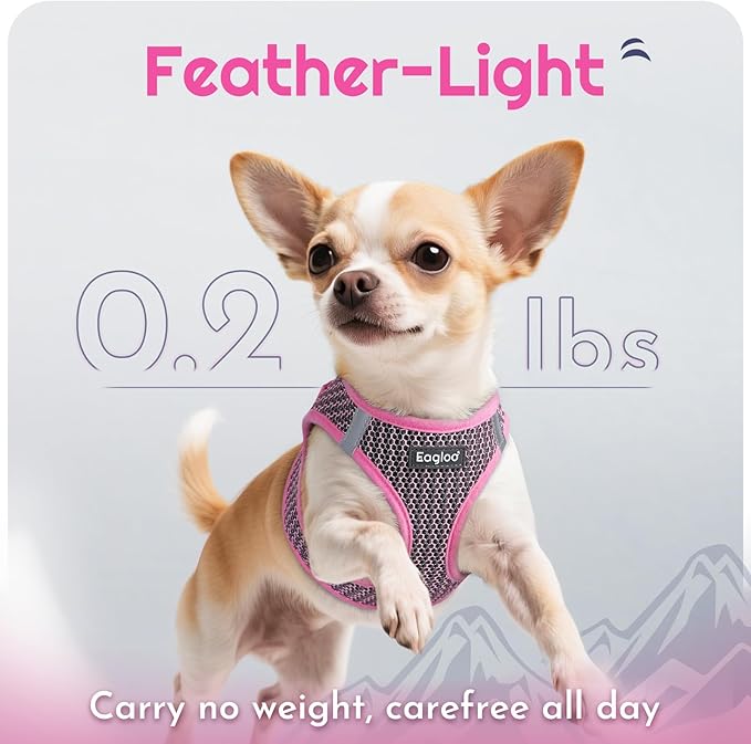 Eagloo Small Dog Harness and Leash Set, Step in Puppy Vest with Breathable Soft Mesh, Walking Reflective Pet Harness for Medium Small Dogs, Pink, M
