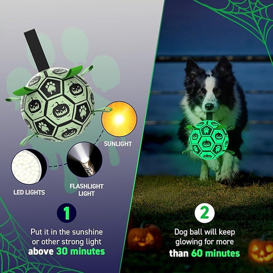 QDAN Halloween Glow in The Dark Dog Toys, Dog Ball with Straps, Soccer Ball for Dogs, Outdoor Dog Toys, Pet Birthday Toys, Puppy Essentials for Medium to Large (8Inch)