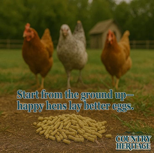 CountryMax 16% Protein Layer Pellets for Laying Hens – Complete Feed for Chickens, Ducks & Game Birds – 50 lb Bag