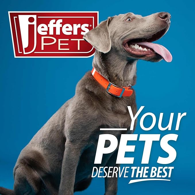 Jeffers Pet Plush Dog Toy with Squeaker, Fuzzy Star 8" - Soft Crinkle Fabric, Safe & Durable, Healthy Fun for Small & Medium Dogs, Interactive Play, Fetch, Tug - Best Gift for Active Games