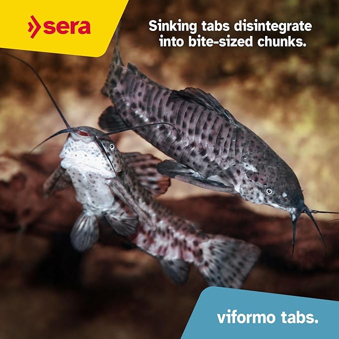 sera Viformo Nature Catfish Food 5.6 oz (250 ml) | Rich in gammarus & Seaweed Vitamins | Ideal for Bottom Feeders | No Artificial additives | Maintains Clear Water | 4% Protein-Rich gammarus