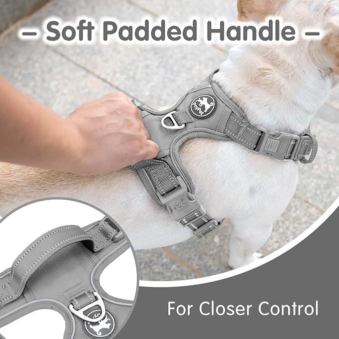 PoyPet No Pull Dog Harness and 5 Feet Leash Set, Release on Neck Reflective Adjustable Pet Vest, Front & Back 2 D-Ring and Soft Padded Pet Harness with Handle for Small to Large Dogs(Grey,S)