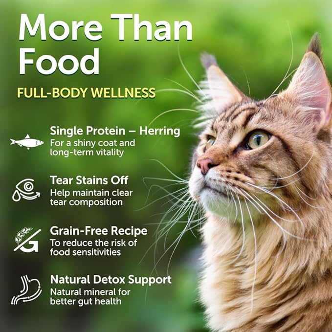 Nature's Protection Dry Cat Food - Grain Free, High Protein Cat Food Dry Kibble for Indoor Adult Cats with Red Fur - Sensitive Stomach, No Tear Stains & Hairball (Superior Care - Herring, 14.11 lb)