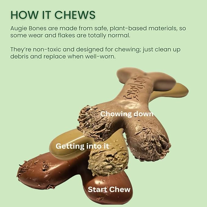 2-Pack Non-Toxic Dog Toys - Sustainable Roasted Peanut Butter Flavored Dog Chew Toys for Aggressive Chewers - Plant-Based Bioplastic Pet Toys - Made in The USA (Mighty)