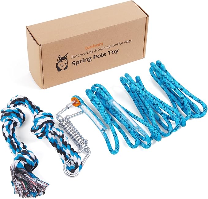 LOOBANI Spring Pole Toy for Pitbull: Tether Tug of War Toys for Small Large Aggressive Chewers Dogs to Exercise & Muscle Building & Bite Training,Outdoor Heavy Duty Bungee Solo Tree Tugger Hanging Toy
