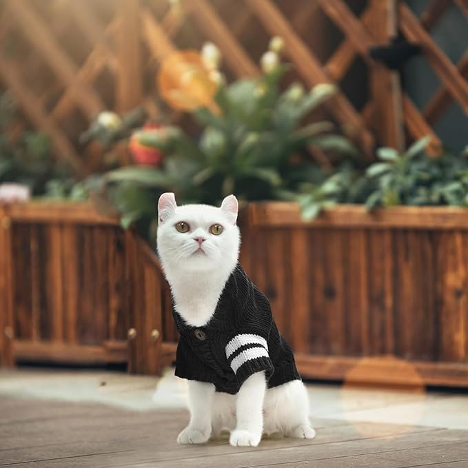 EXPAWLORER Cat Sweater Cardigan - Stylish Knitted Cat Clothes, British Style Soft Puppy Sweater with Sleeve Warm Pet Clothing Knitwear, Fall and Winter Kitten Coat for Girl Boy Cats, Black Small