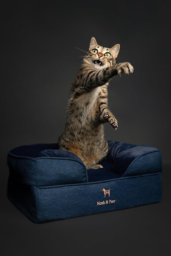 NOAH & PAW Small Dog Bed, 20x15x8 Inch, Cat Bed for Indoor Cats, Orthopedic Eggshell Memory Foam Infused with Cooling Gel, Waterproof Inner Cover Machine Washable (Denim Collection)