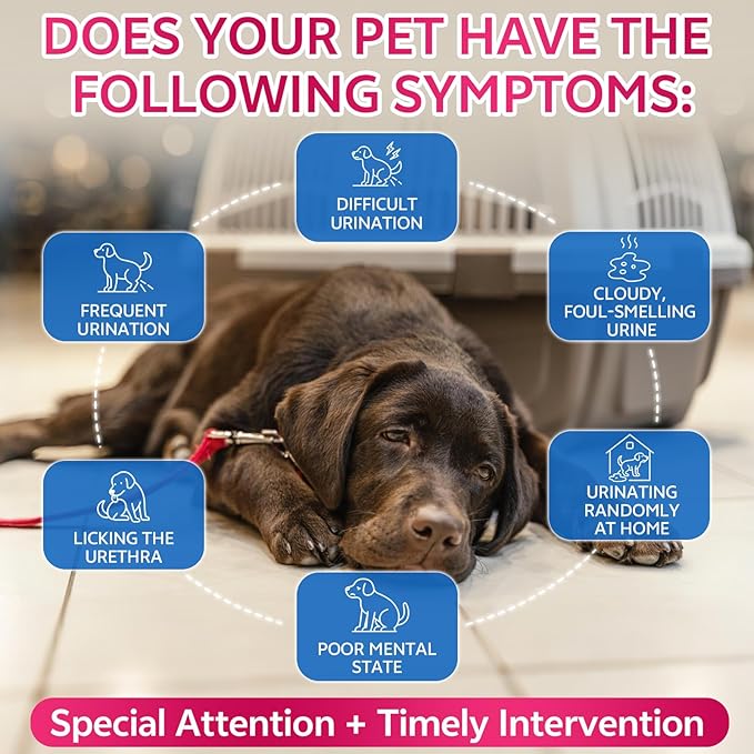 Cat & Dog Natural Urinary Tract Infection Treatment with Cranberry, Kidney, and Bladder Support Supplement, Support for Urinary Comfort & Bladder Flow – Pet Renal Care Support Drops