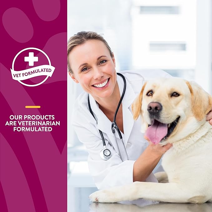 NaturVet ArthriSoothe-Gold Level 3 Advanced Joint Care for Dogs – Soft Chew Dog Supplement with Glucosamine, MSM, Chondroitin & Hyaluronic Acid – Wheat-Free Pet Supplements – 180 Ct.