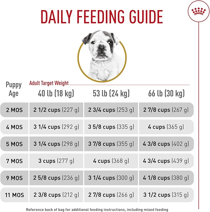 Royal Canin Bulldog Puppy Dry Dog Food, 6 lb bag