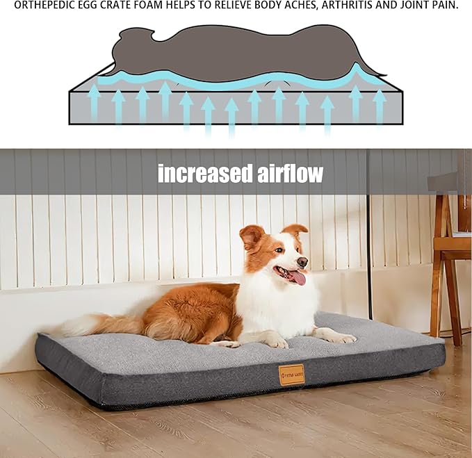 Patas Lague Orthopedic Dog Bed for Small Dogs 20''X15'', Soft Waterproof Egg Crate Foam Small Pet Crate Beds Mat with Removable Washable Cover and Non-Slip Bottom, Light Grey