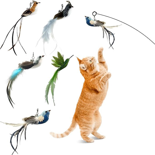 Deluxe Bird Replacement Heads for Cat Toys - Set of 5 - Realistic Feather Designs Including Blue Floral, Two-Tone, Traditional, Black & White, Green Hummingbird - Easy Clip-On