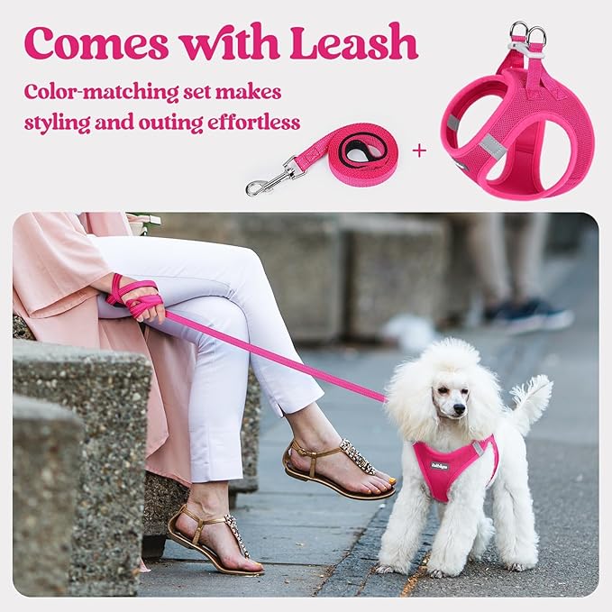 rabbitgoo Dog Harness Small Sized and Leash Set, Step in Soft Light Puppy Vest, Breathable Mesh Pet Harness, Reflective for Safe Easy Walking, Rose Red S