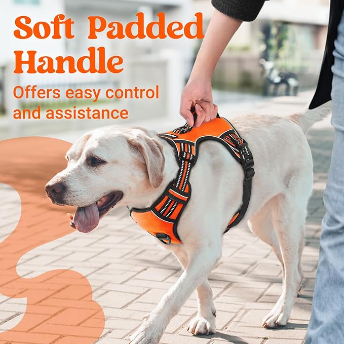 rabbitgoo Dog Harness for Large Dogs, No Pull Pet Harness with Soft Padded Handle, Adjustable Reflective Vest with 3 Buckles, Easy Walking Harness with 2 Leash Clips, Orange, M