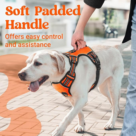 rabbitgoo Dog Harness for Large Dogs, No Pull Pet Harness with Soft Padded Handle, Adjustable Reflective Vest with 3 Buckles, Easy Walking Harness with 2 Leash Clips, Orange, M