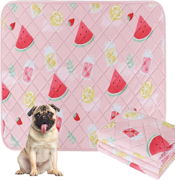 BVAGSS Washable Pee Pads for Dogs, 2 Pack Reusable Leakproof Puppy Wee Wee, Non-Slip Waterproof Pet Training, Super Absorbent Whelping XH081 (Watermelon, 24X24 Inch)