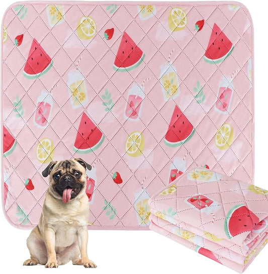 BVAGSS Washable Pee Pads for Dogs, 2 Pack Reusable Leakproof Puppy Wee Wee, Non-Slip Waterproof Pet Training, Super Absorbent Whelping XH081 (Watermelon, 24X24 Inch)