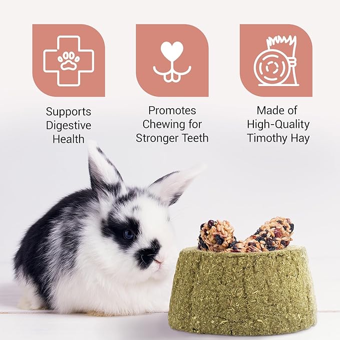Evergreen Pet Supplies Guinea Pig Bowl - 4-Pack, Green & Brown - Edible Food & Chew Bowls for Rabbits & Guinea Pigs - Toys for Ferrets & Hamsters