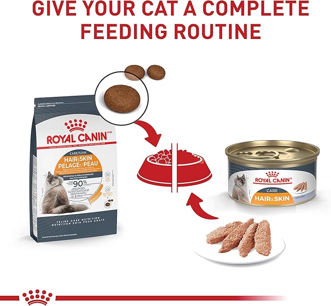 Royal Canin Feline Care Nutrition Hair & Skin Care Adult Loaf in Sauce Cat Food, 3 oz (Pack of 24)