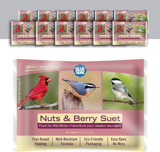 Blue Seal Nuts & Berry Suet Cakes for Wild Birds - No Mess Suet Feed, Food for Woodpeckers, Cardinals, Siskins, Sparrows & More - 11oz Suet Feeder, Bird Seed Cakes (Pack of 12)