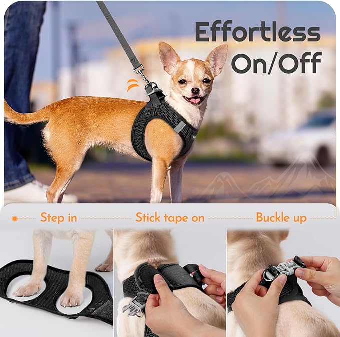 Eagloo Small Dog Harness and Leash Set, Step in Puppy Vest with Breathable Soft Mesh, Walking Reflective Pet Harness for Extra Small Dogs, Black, XXS