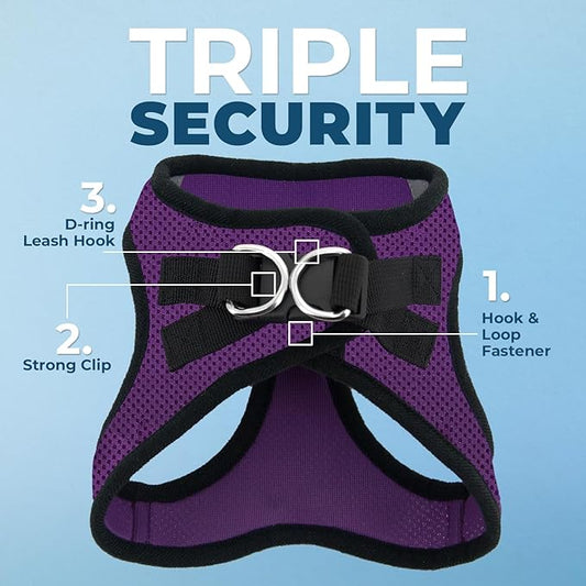 Voyager Step-in Air All Weather Mesh Harness and Reflective Dog 5 ft Leash Combo with Neoprene Handle, for Small, Medium and Large Breed Puppies by Best Pet Supplies - Purple/Black Trim, Medium