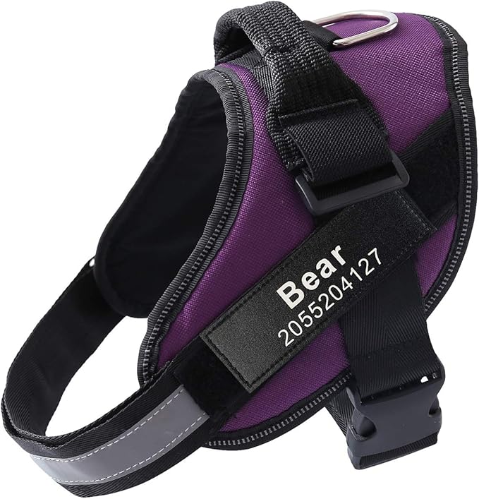 HOTGOL Custom No Pull Dog Harness with Personalize Name and Phone Number Tag,Reflective Breathable Adjustable Pet Vest for Small to Large Dogs