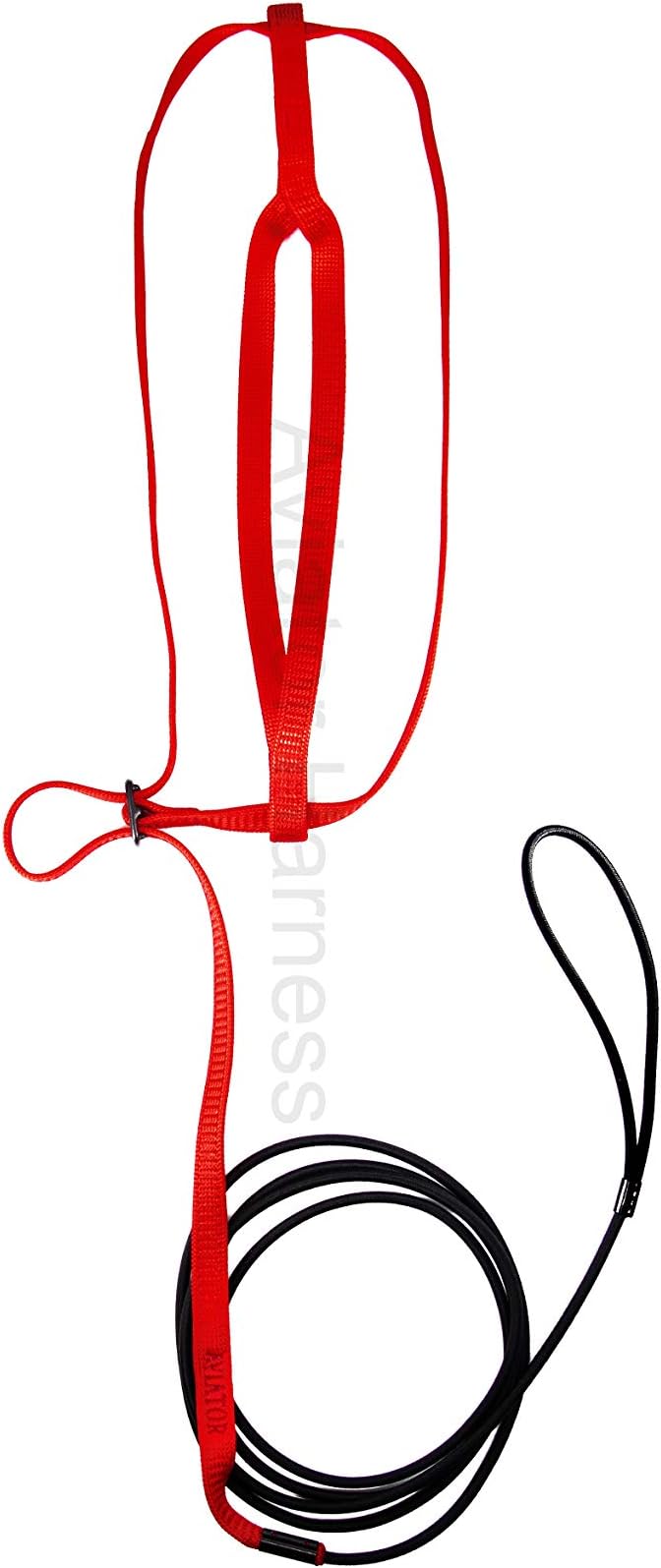 The AVIATOR Pet Bird Harness and Leash: X-Large Red