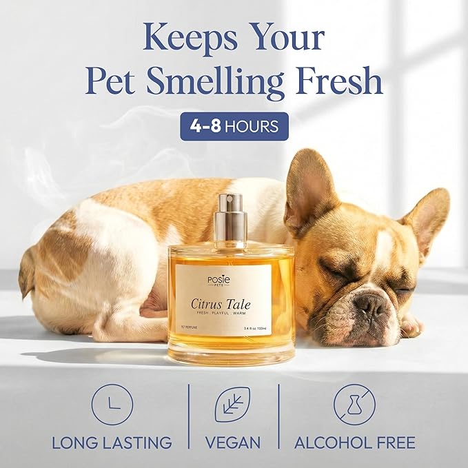 Dog Perfume Spray Long Lasting 4-8 Hours - Water-Based, Vegan Cologne - Luxury, Alcohol-Free Grooming Deodorizer for Dogs with Orange Blossom, Lavender, Vanilla - Citrus Tale, 100ml